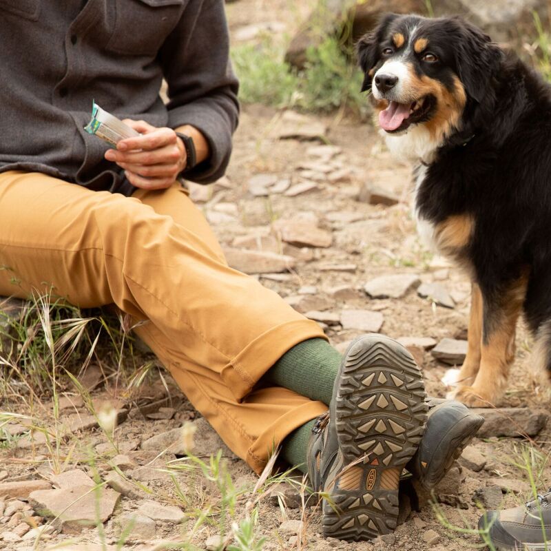 Keen Targhee III Mid WP Men's Black Olive/Golden Brown