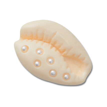 Crocs™ Jibbitz Pearl Puka Shell 